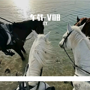 车载-V08（Orginal-Mix）