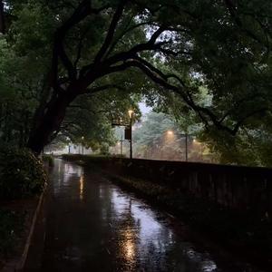 恨幸福来过 金钟国