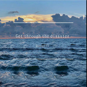 Get through the disaster