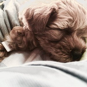 马丁（My Little One）