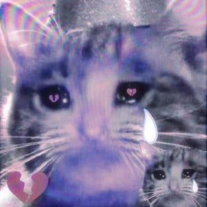 那天我没有哭只是躺了很久