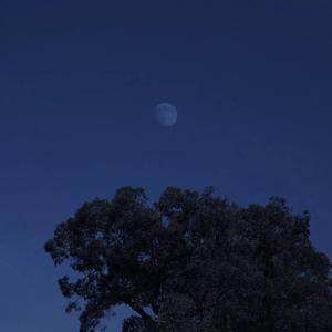 改天是哪天 下次是哪次 以后有多以后