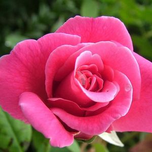 回忆却消失不见 伴奏