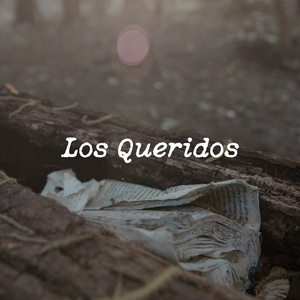 Los Queridos
