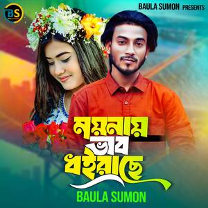 ময়নায় ভাব ধইরাছে