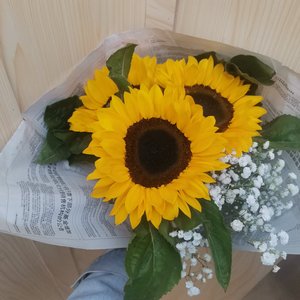 群星-天地龙鳞（雲寶_Angelina remix）