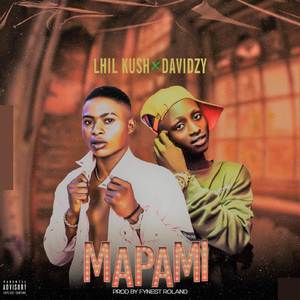 Mapami