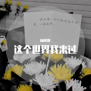 这个世界我来过