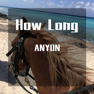 Charlie Puth - How Long（ANYON remix）