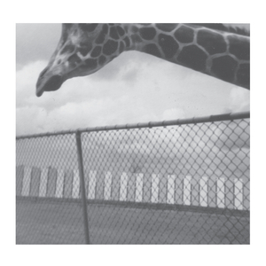 Le compas dans l’œil