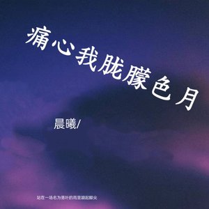 月色朦胧我心痛（海浪）