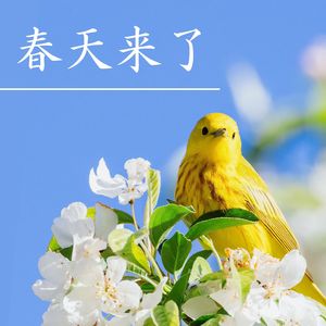 河边春梦