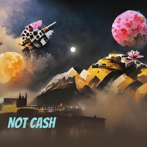 Not Cash