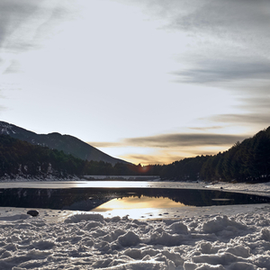 Frozen Land