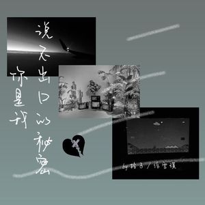 你是我说不出口的秘密