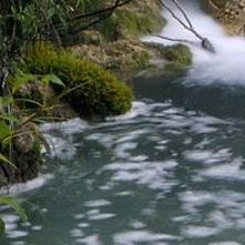 蒲公英的芳香 伴奏