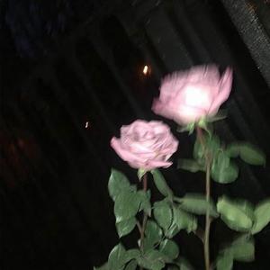 cycle of pain (feat. Kashimotu & TR3)