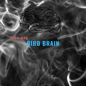Bird Brain