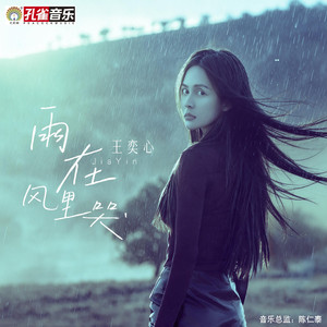 雨在风里哭 (伴奏)