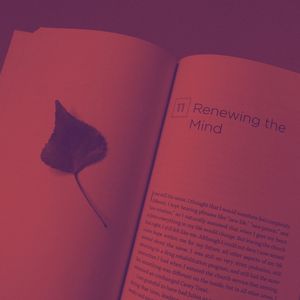 柔和的好书时刻