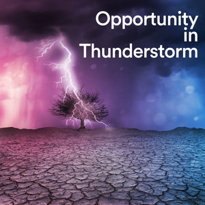 Free Storms