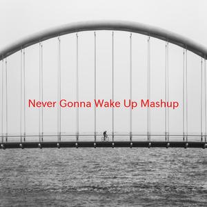 Never Gonna Wake Up (Mashup) (Complete version originally performed by Rick Astley vs Avicii vs Chumbawumba)