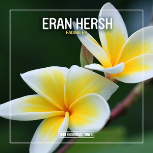 Fading (Extended Mix)