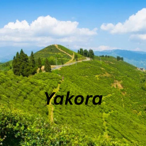 Yakora