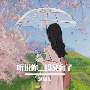 听说你二婚又离了