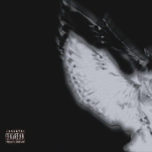 Sирин и Алконост