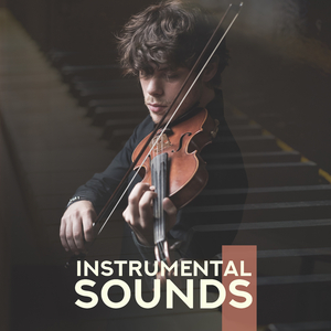 Piano Sonata in B-Flat Major, K. 333: II. Andante cantabile