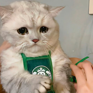 想不开就来听听吧