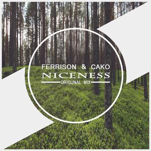 Niceness(Vocal Mix)