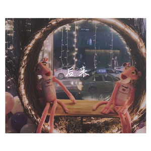 刘若英-后来remix（豪子杨 remix）