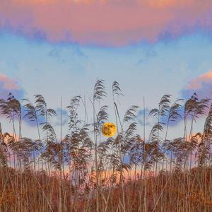 中央芭蕾舞团交响乐团-红色娘子军选段（夢Tyne remix）