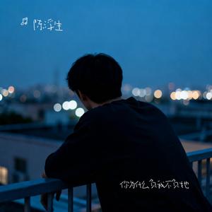 你为什么负我不负她