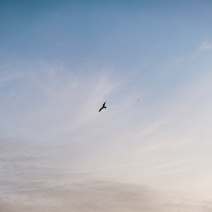 Lets Do Nothing Together