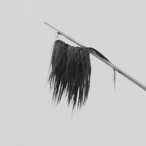 Femme, Vie, Liberté.