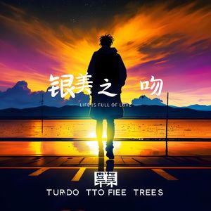 寂静之夜 (解压曲)