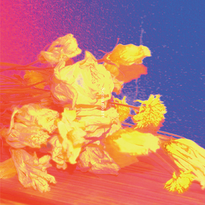 ドライフラワー