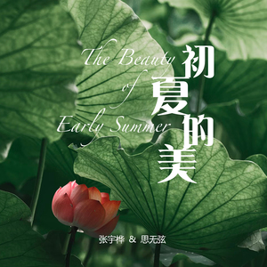 初夏的美 (古琴版)