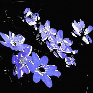 last chance (feat. mint & inssekt)