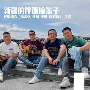 新疆的拌面拉条子