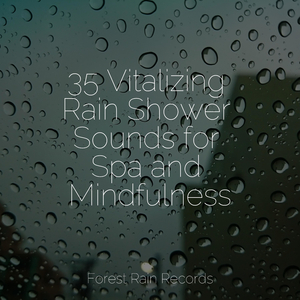 Park, Birds, Insects, Busy, Calm Wind