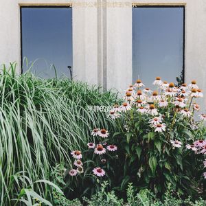 适合居家办公绝妙的音乐