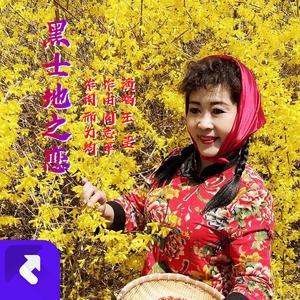 黑土地之恋
