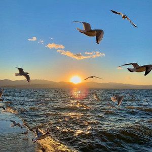 【免费下载】“Used to be”Rod wav x Toosii type beat