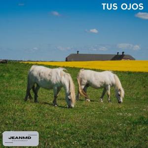 Tus Ojos