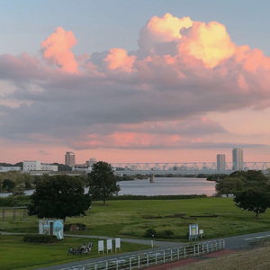 有幸来过 mix
