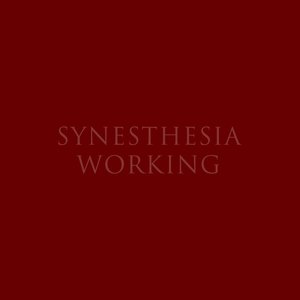 Synesthesia Working